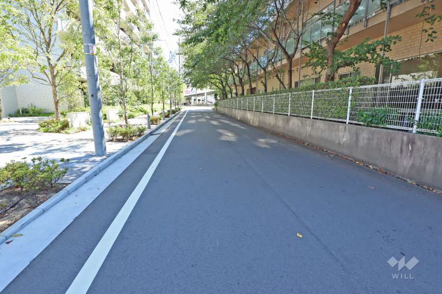 敷地西側の前面道路（北側から）