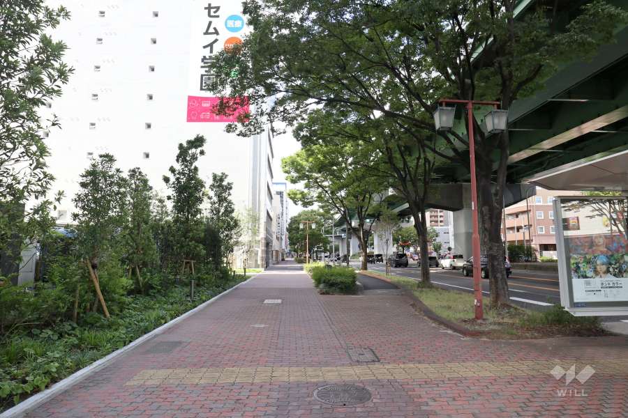 敷地東側の前面道路（南側から）