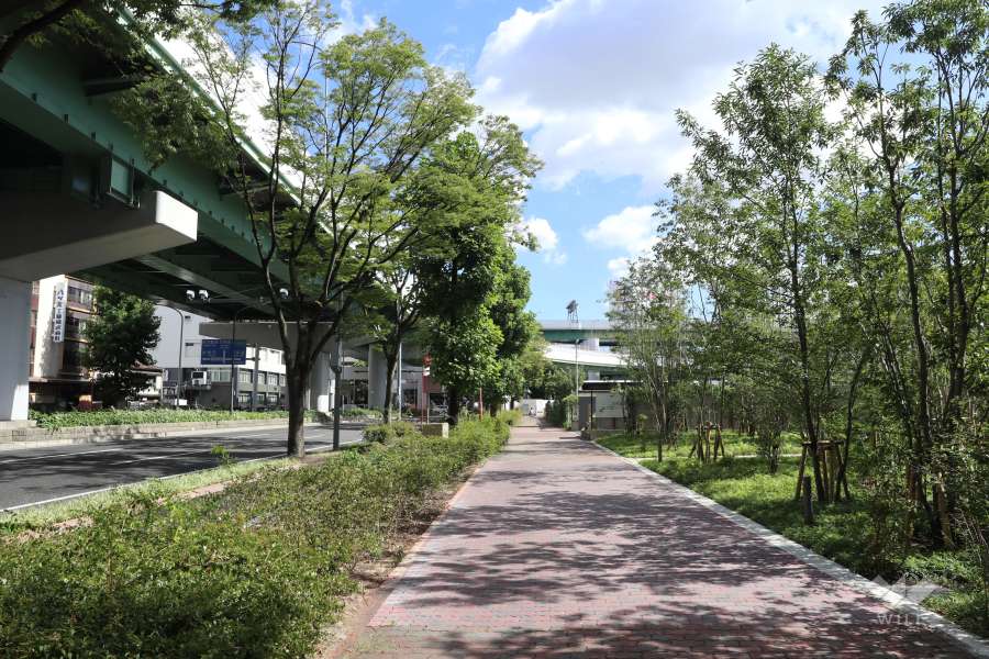 敷地東側の前面道路（北側から）