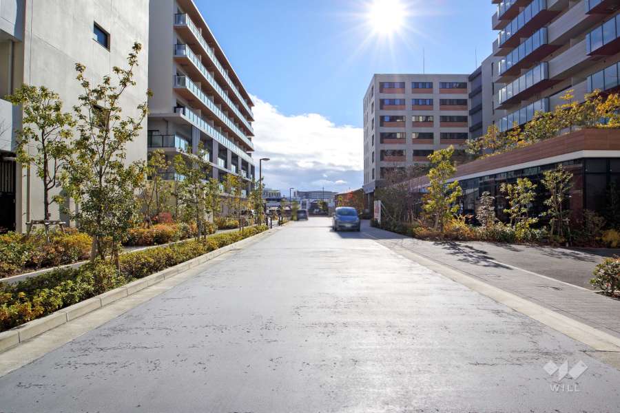 敷地東側の前面道路（北側から）
