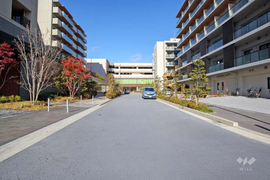 敷地東側の前面道路（南側から）