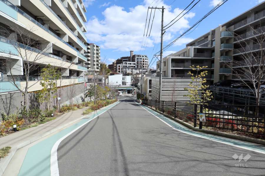 敷地北側の前面道路（西側から）