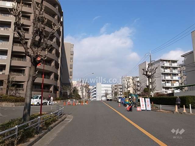 敷地東側の前面道路。二車線の街路樹がきれいな通りです。