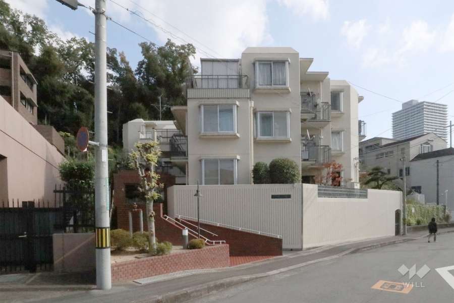 サンヴェール高槻天神町の外観（西側から）