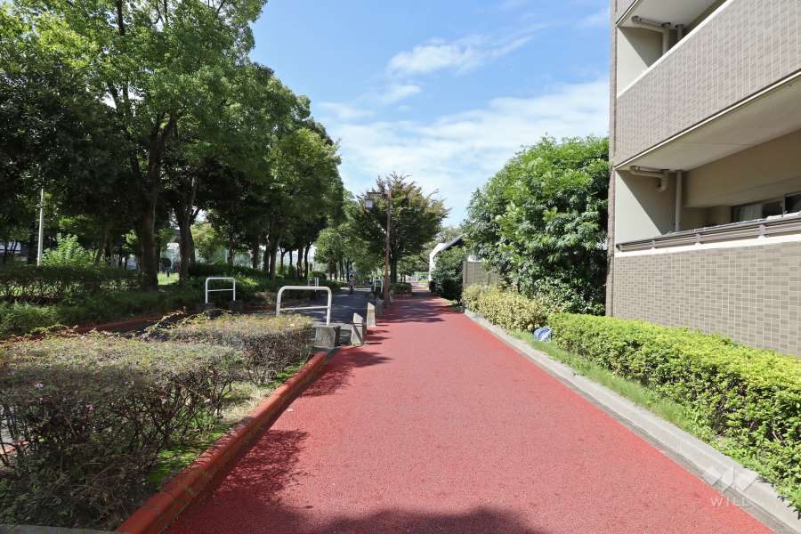 敷地南側の前面道路（東側から）敷地南側には『南郊公園』があります。