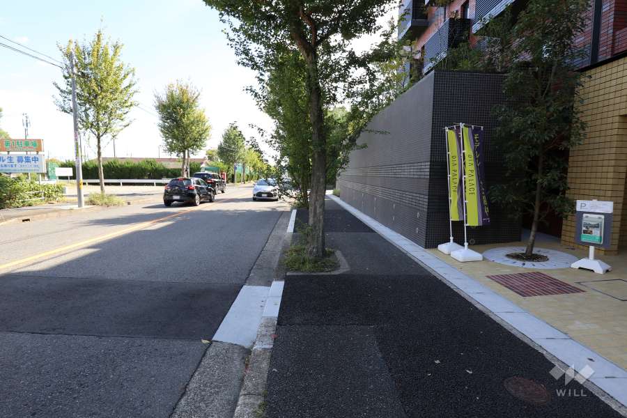 敷地の西側前面道路(北側から)