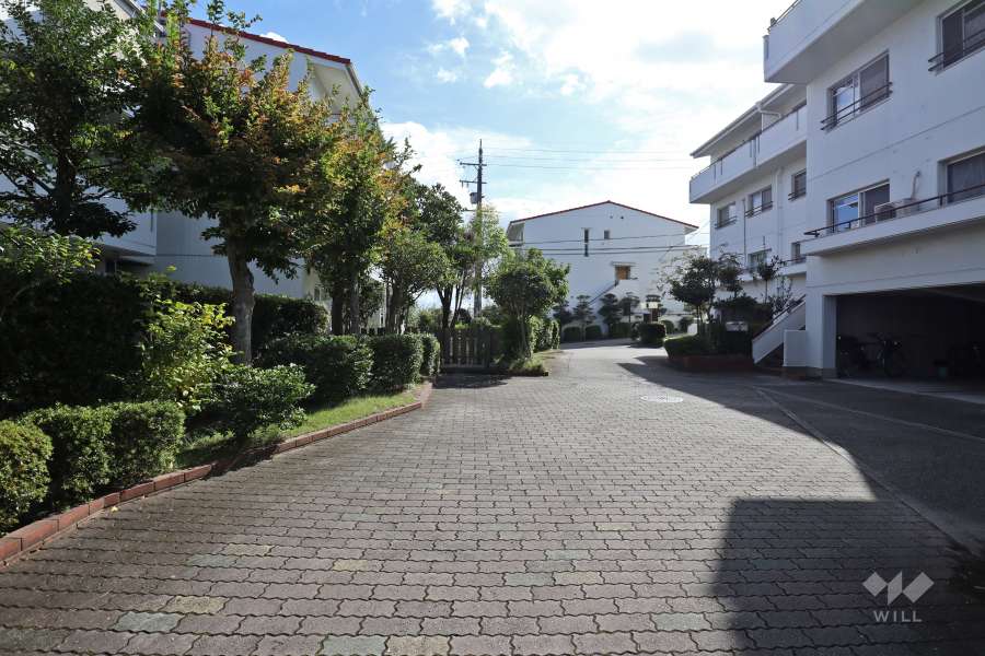 建物北側の通路