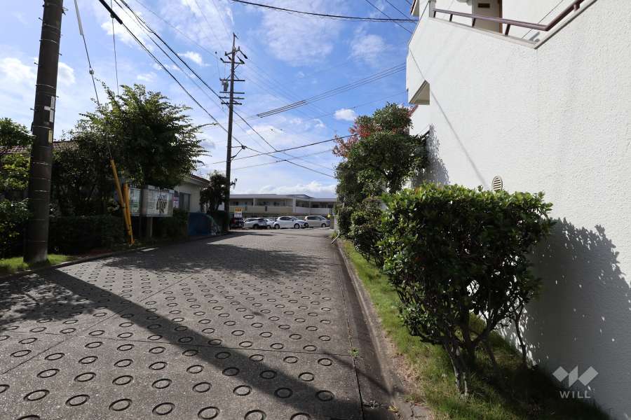 敷地東側の前面道路