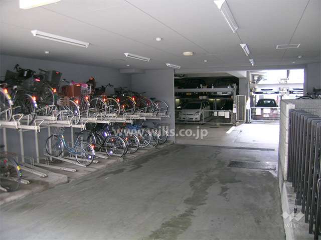 駐輪場と駐車場