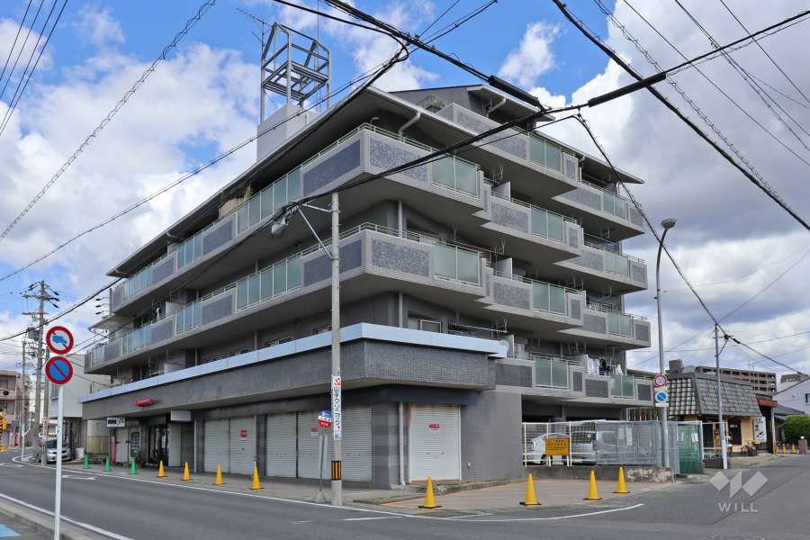 ナビハイツ水野ステーションの外観（南西側から）