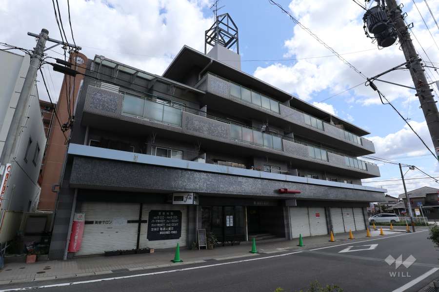 ナビハイツ水野ステーションの外観（北西側から）