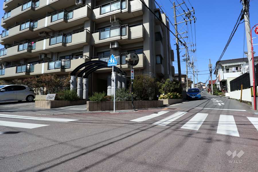 敷地東側の前面道路（南側から）