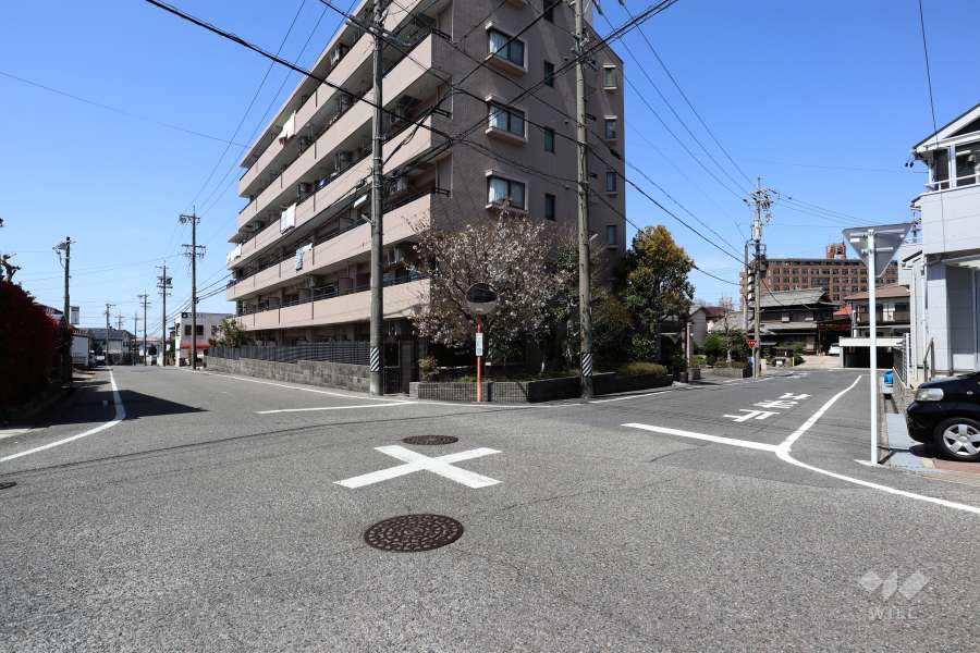 敷地南側と東側の前面道路（南東側から）