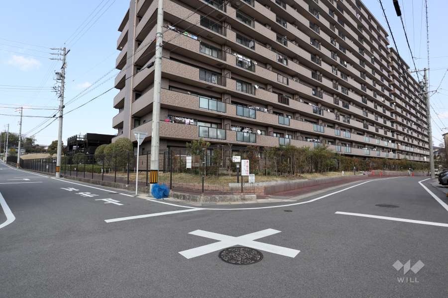 敷地南側と西側の前面道路（南西側から）