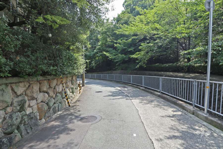 敷地東側の前面道路（北側から）