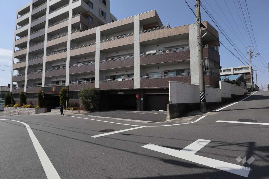 敷地南側と東側の前面道路（南東側から）