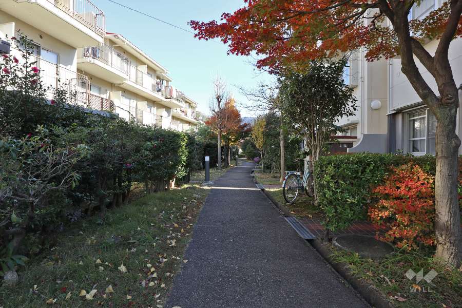 7号棟との間の通路