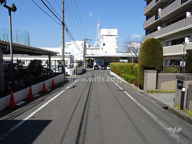 敷地の西側前面道路（南側から）