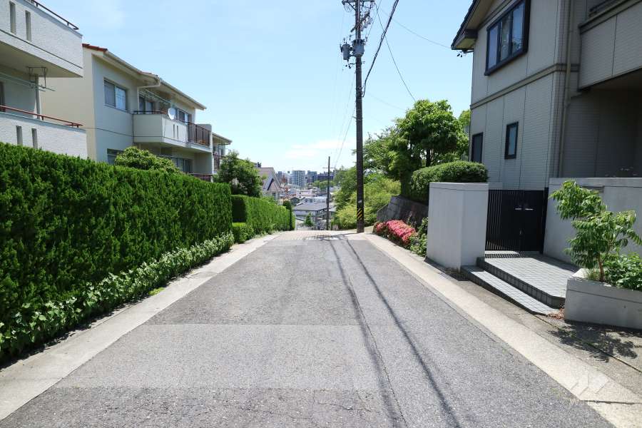 敷地南側の前面道路(西側から)