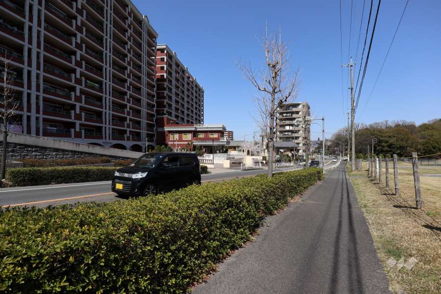 敷地南東側の前面道路（南西側から）