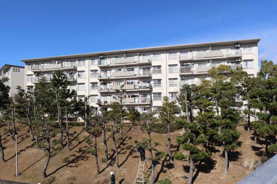 岩成台西団地512号棟の外観（南側から）