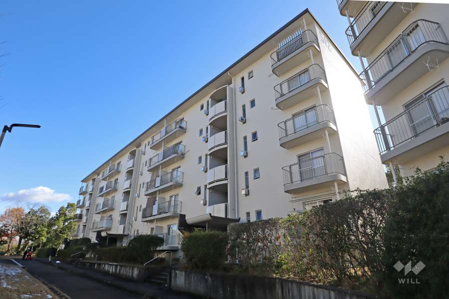 岩成台西団地512号棟の外観（北西側から）