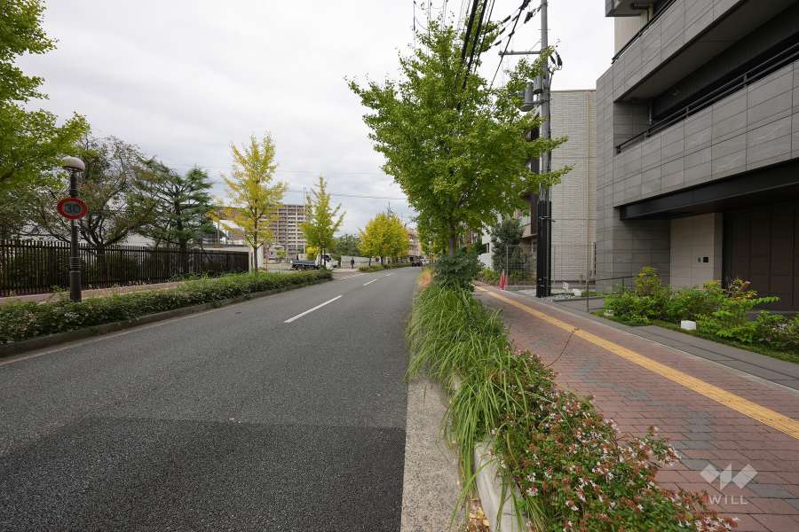 敷地西側の前面道路