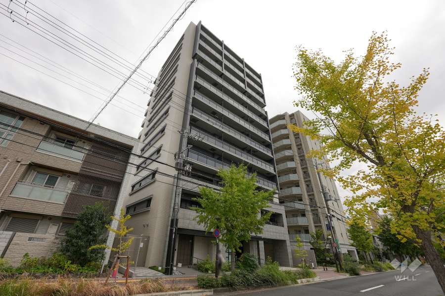 シーンズ高槻上田辺町の外観（北西側から）