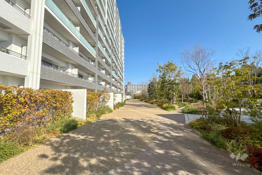 敷地南側の共用通路(西側から)