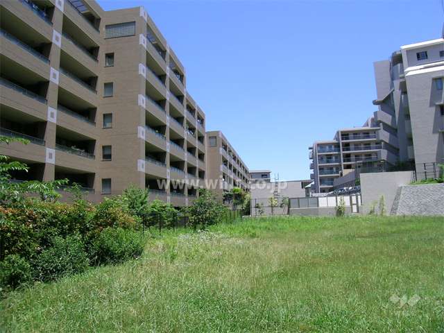 敷地の南側。周辺にはマンションが多く建ち並んでいます。