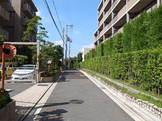 敷地南側の道路。敷地の4方向が接道しています。