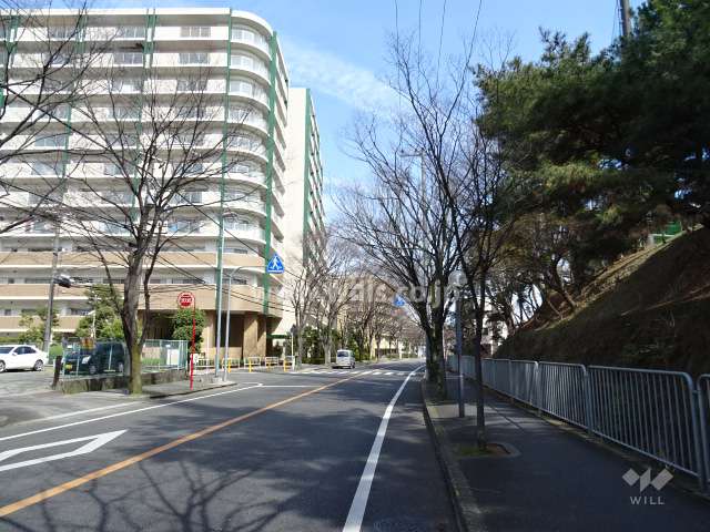 敷地南東側の前面道路。3月頃の様子