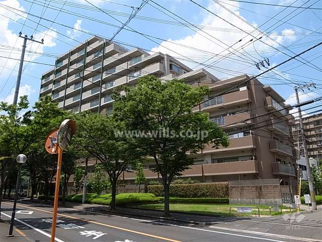 街路樹のきれいな通りに面しています。