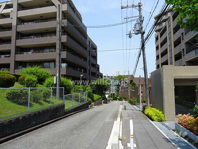 敷地南東側の前面道路