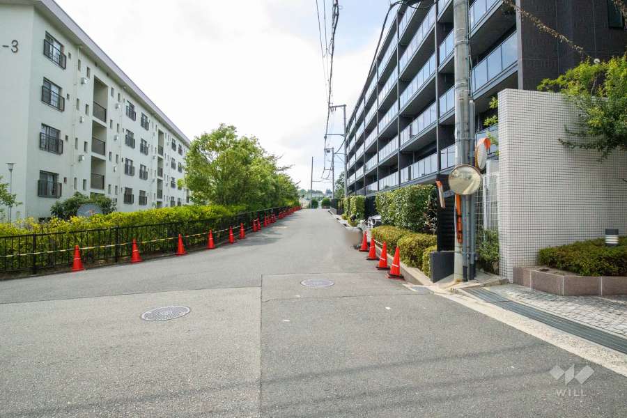 敷地西側の前面道路