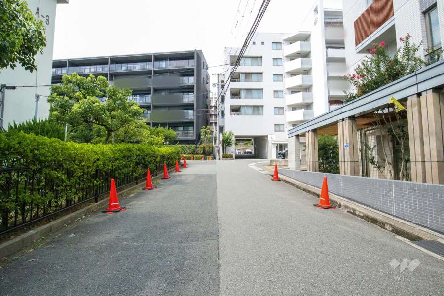 敷地西側の前面道路