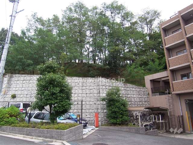 マンションの北側には片山公園の緑が生い茂っています