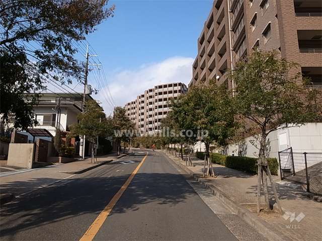 敷地西側の前面道路
