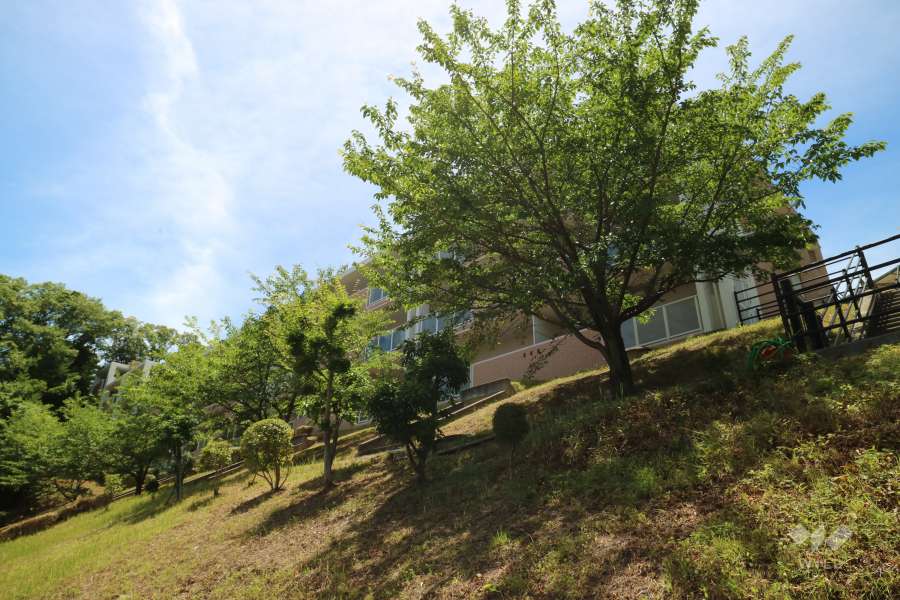 セーリオ宝塚1番館の外観（北東側から）