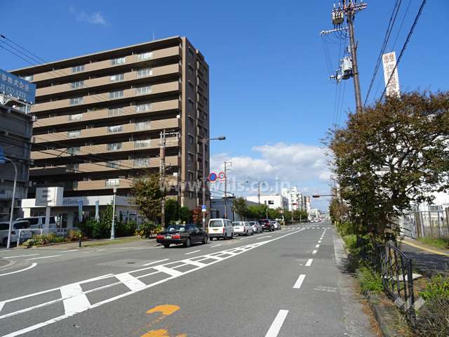 敷地南東側の前面道路。通称フラワーロードです。