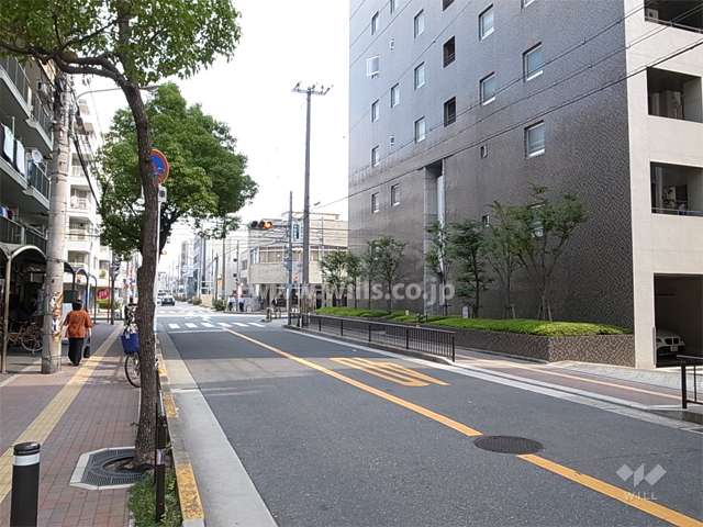 敷地北側の前面道路。街路樹のきれいな通りです。