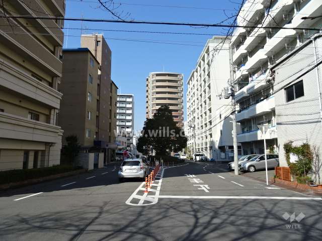 敷地北側の前面道路