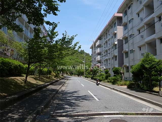 敷地北側の前面道路