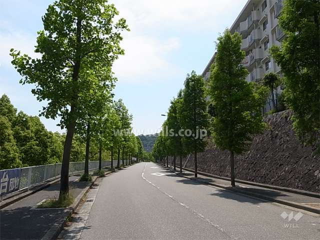 敷地南側の前面道路