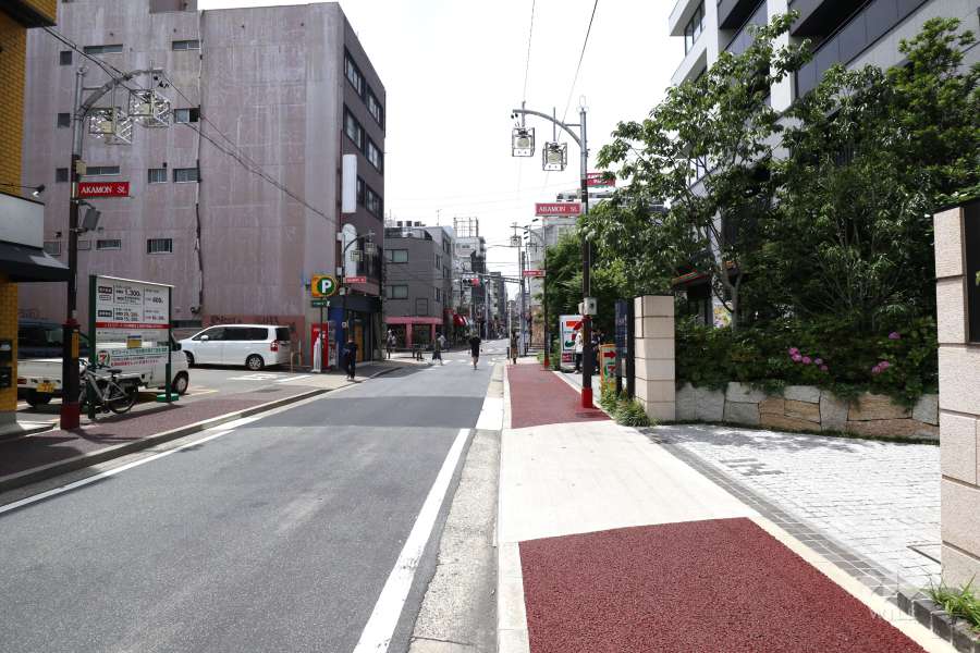 敷地南側の前面道路（東側から）