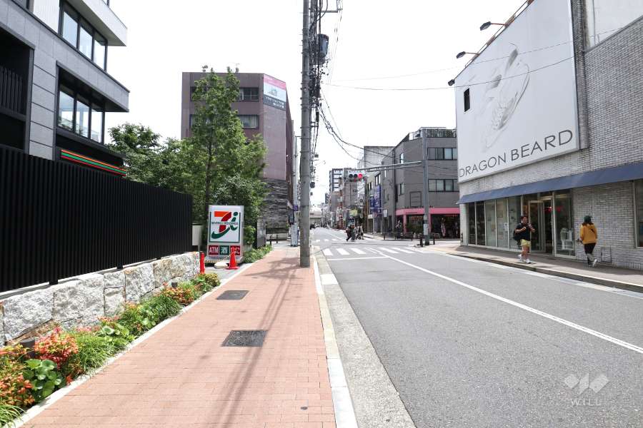 敷地西側の前面道路（北側から）