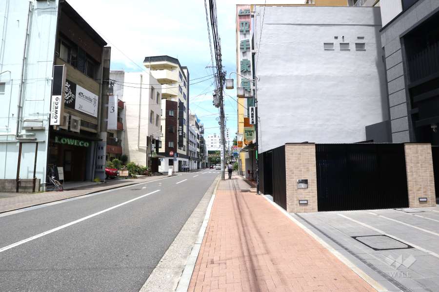敷地西側の前面道路（南側から）