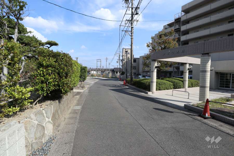 敷地北側の前面道路（西側から）