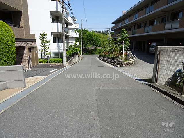 敷地南側の前面道路（西側から）