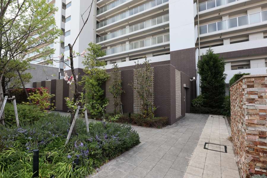 駐輪場入口への通路